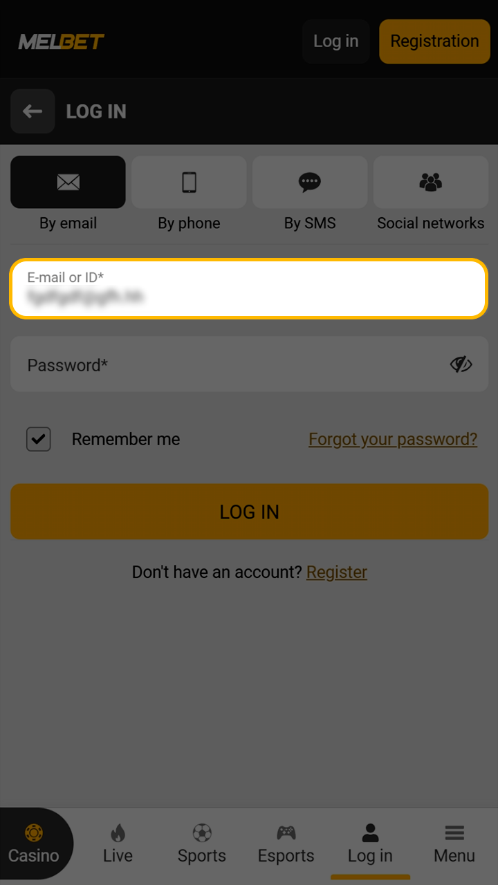 Inputting required credentials for Melbet platform access.