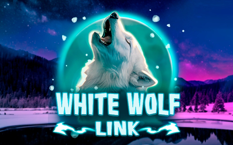 Spin White Wolf Link reels on Melbet platform.