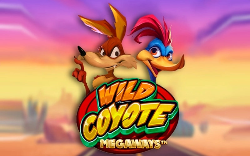Hunt for wins in Wild Coyote at Melbet.